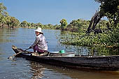 Tonle Sap - Kampong Phluk - Flooded mangrove forest 